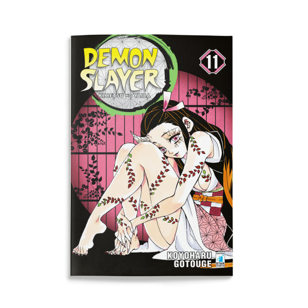Demon Slayer 11