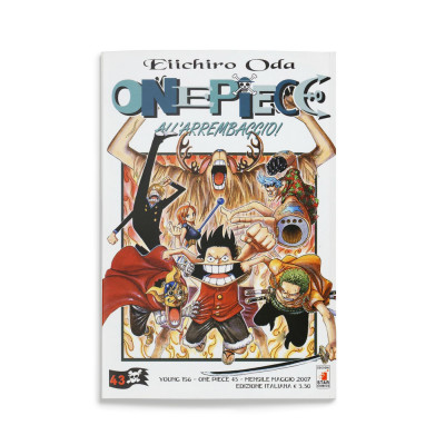 One Piece 43
