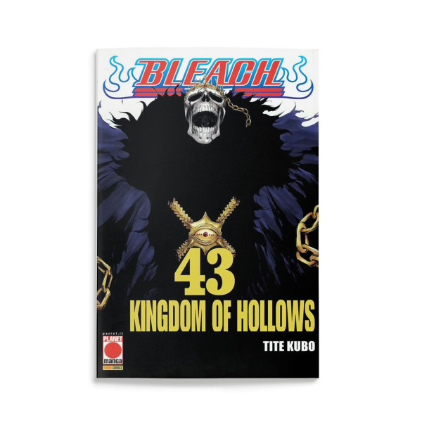 Bleach 43