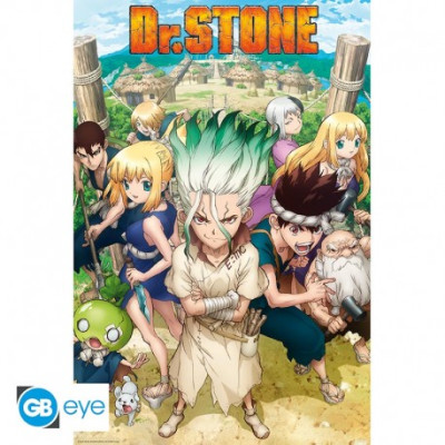 Dr Stone | Poster | Group