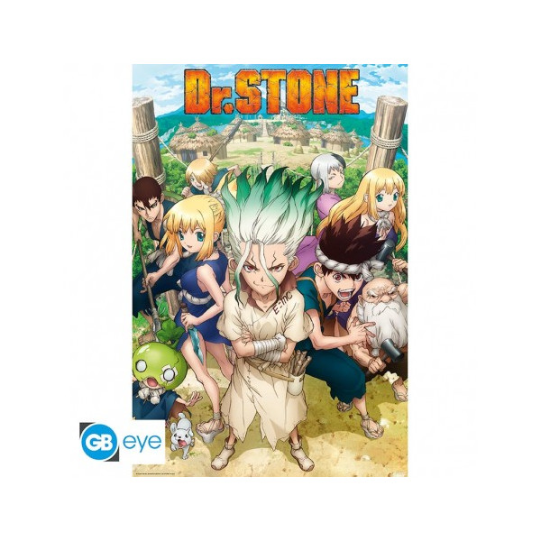 Dr Stone | Poster | Group