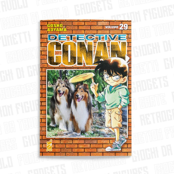 Detective Conan New Edition 29