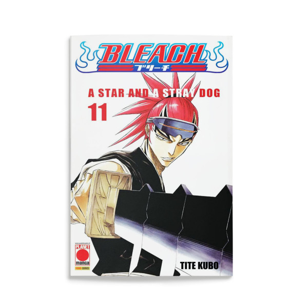 Bleach 11