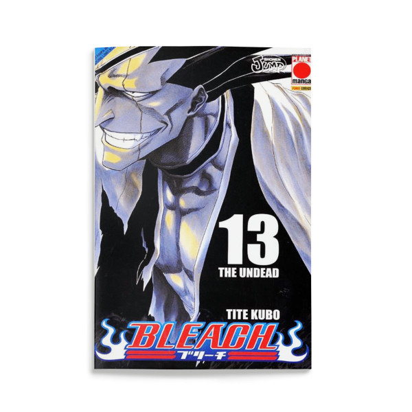 Bleach 13