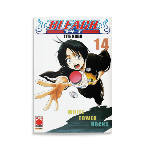 Bleach 14