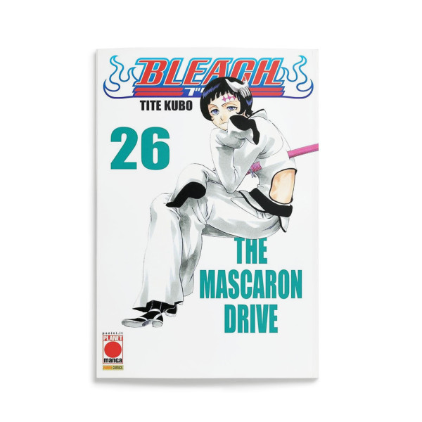 Bleach 26