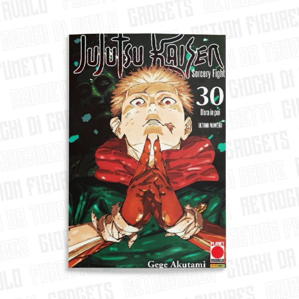 Jujutsu Kaisen Sorcery Fight 30
