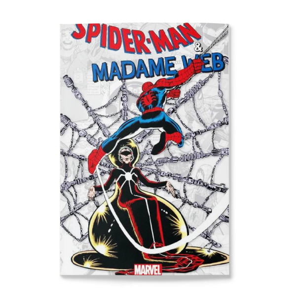 Spiderman E Madame Web