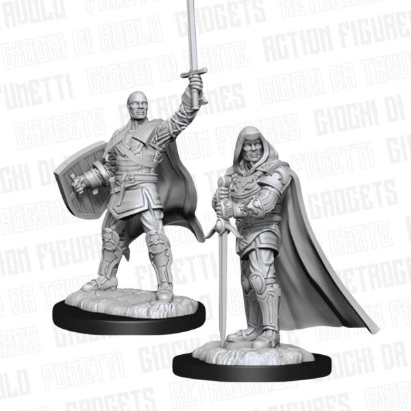 WizKids | Nolzur's Marvelous Miniature | Human Paladin Male