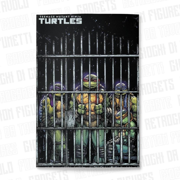Teenage Mutant Ninja Turtles 11 | Variant