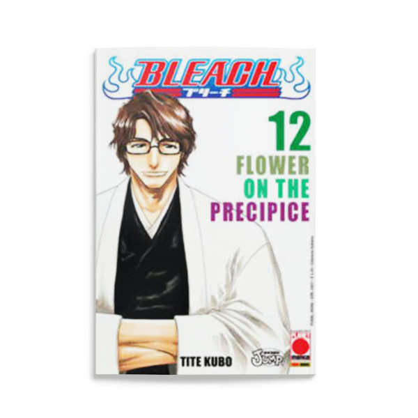 Bleach 12