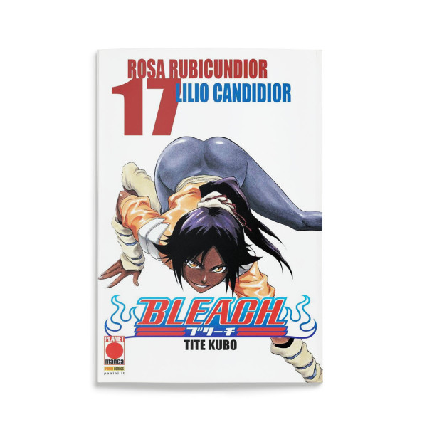 Bleach 17