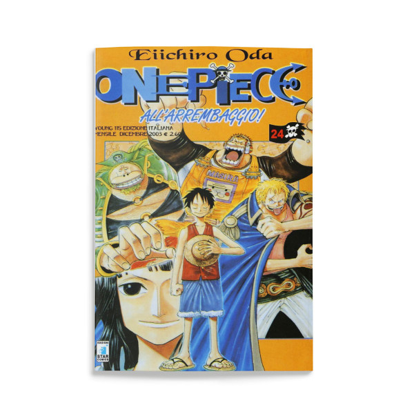 One Piece 24